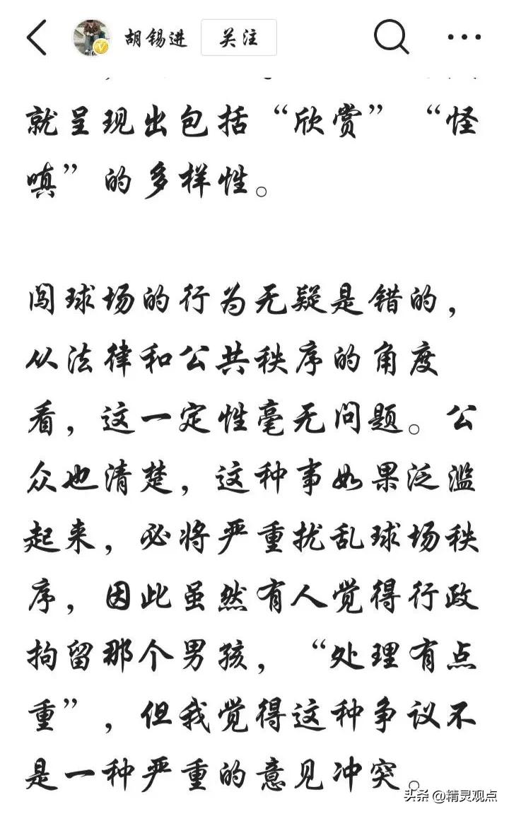 球迷冲入球场拥抱梅西被行拘点评,冲进球场拥抱梅西的道歉视频