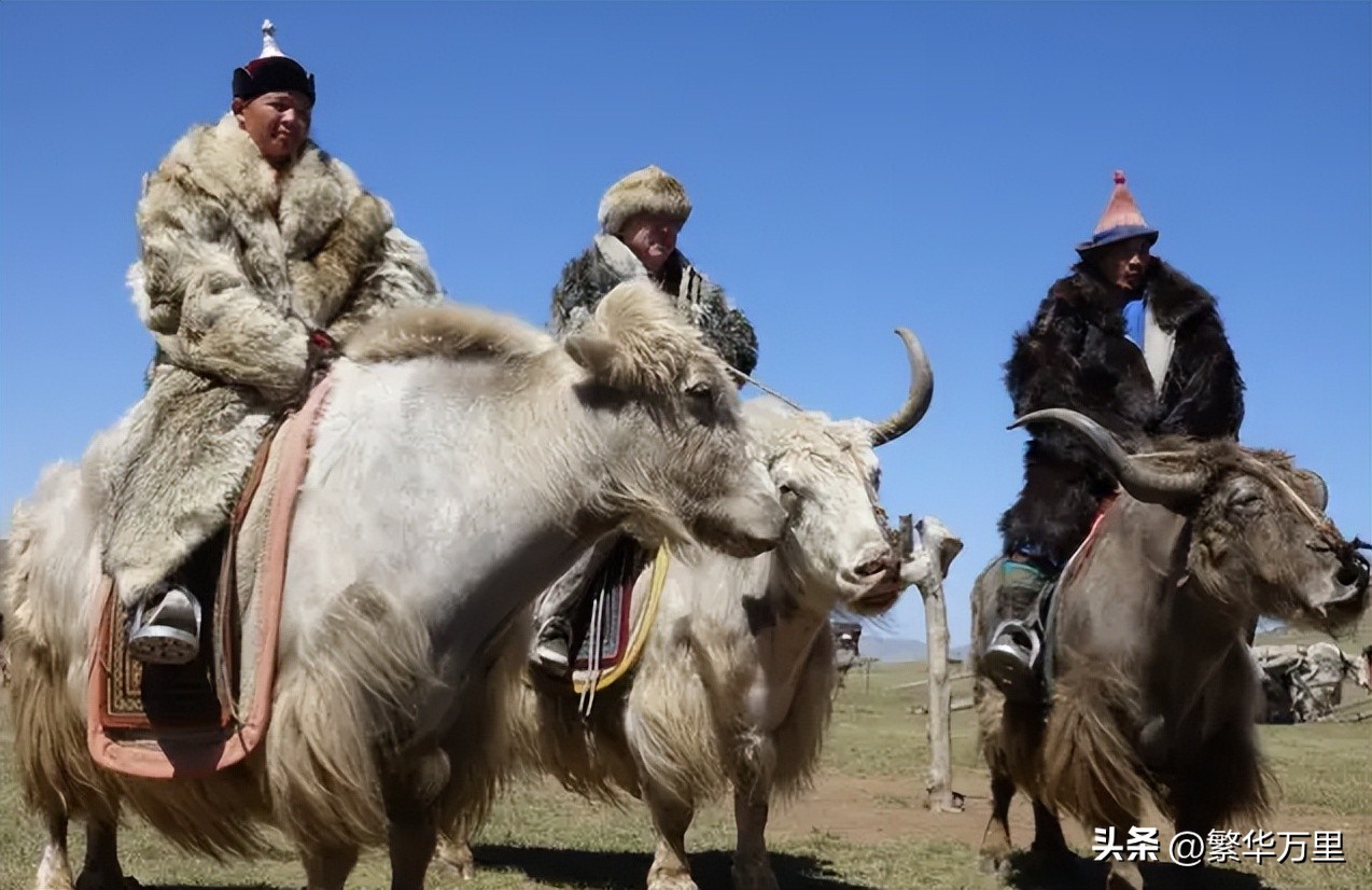 蒙古国经济2015年,蒙古国人均纯收入