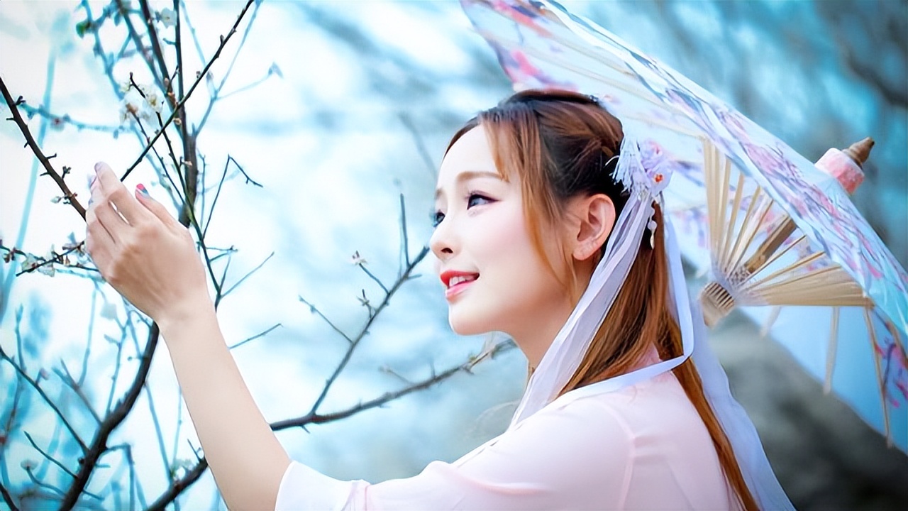 梅花被赞作千古第一花，更是诗人的恋人，是哪几方面最吸引古人？