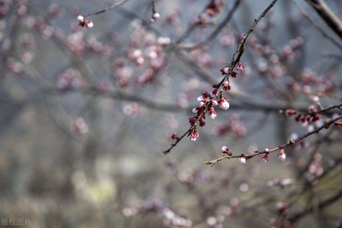 员工团体意外险所得税扣除,给公司工人买意外险增值税怎么做