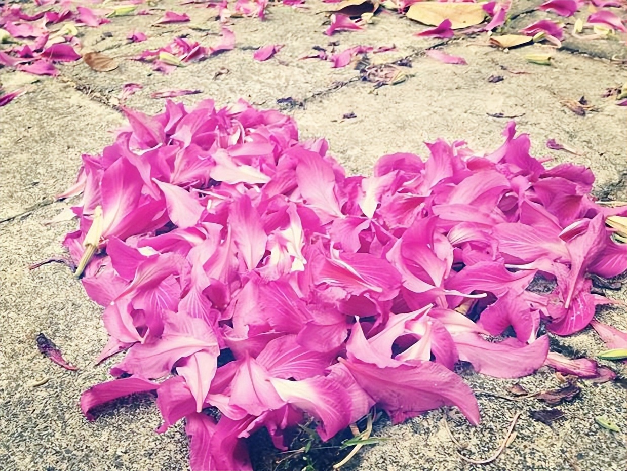 100句最经典古诗词名句,最值得深思的一句古诗词