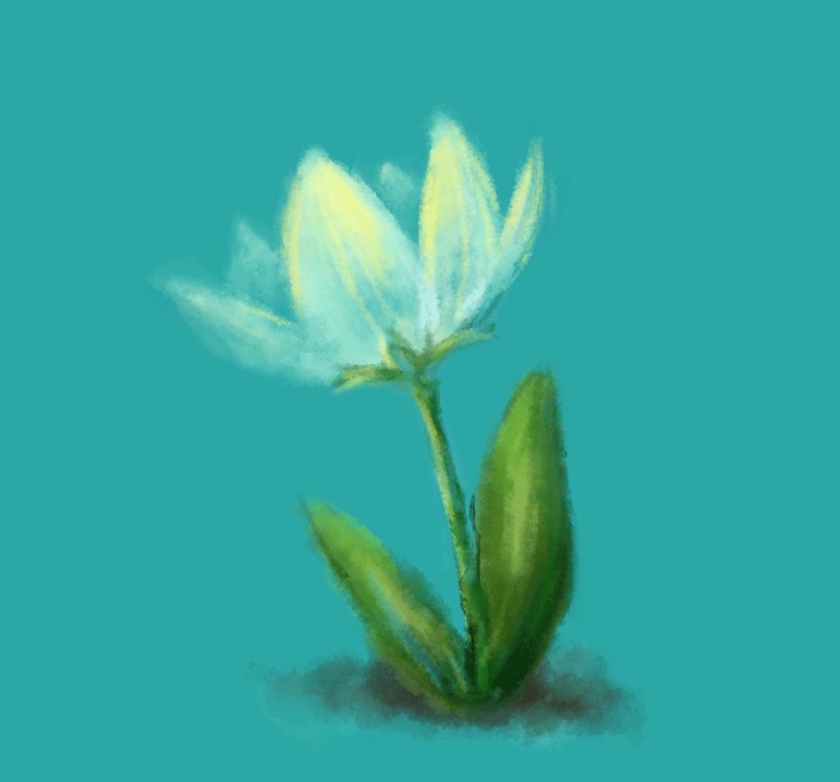 火葬被取代吗,火葬为何取代传承千年的土葬