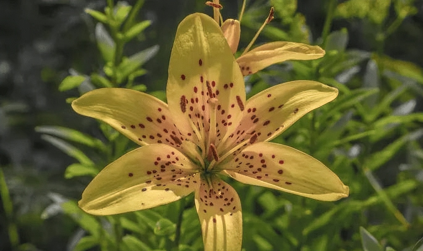 男友和异性朋友交往,男朋友和异性朋友聊得很开怎么办