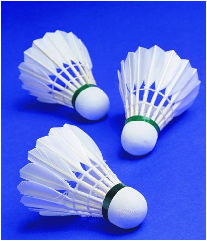 买羽毛球时的不同感受,买羽毛球要买哪种