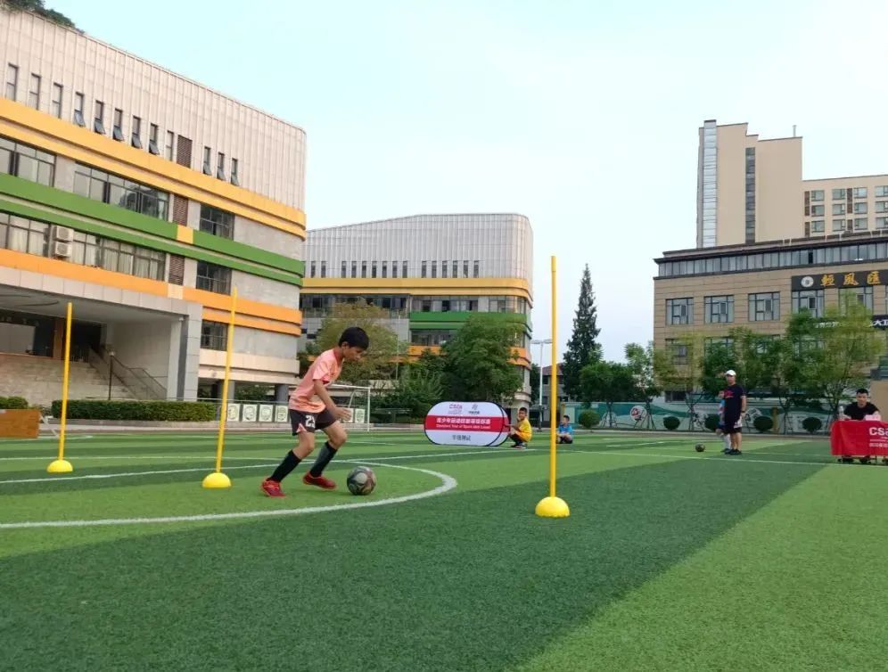 青少年足球技能水平测试,青少年足球运动技能等级