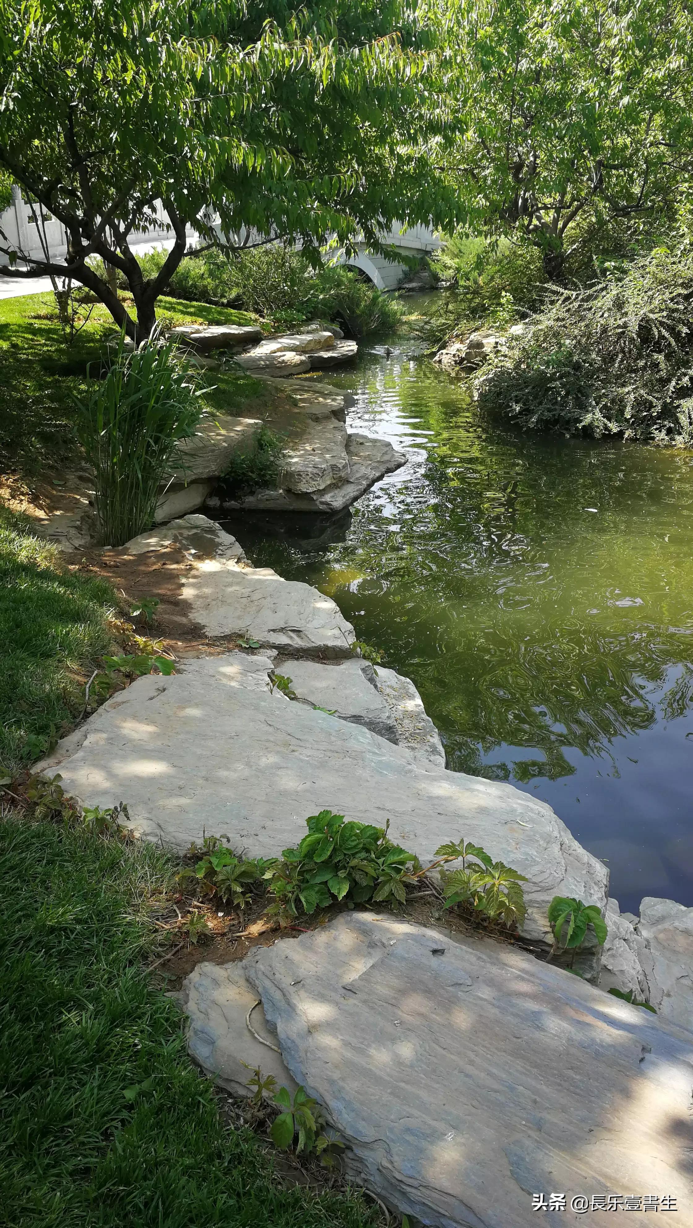 中国园林博物馆游览时间表,小众游玩强烈推荐北京园林博物馆