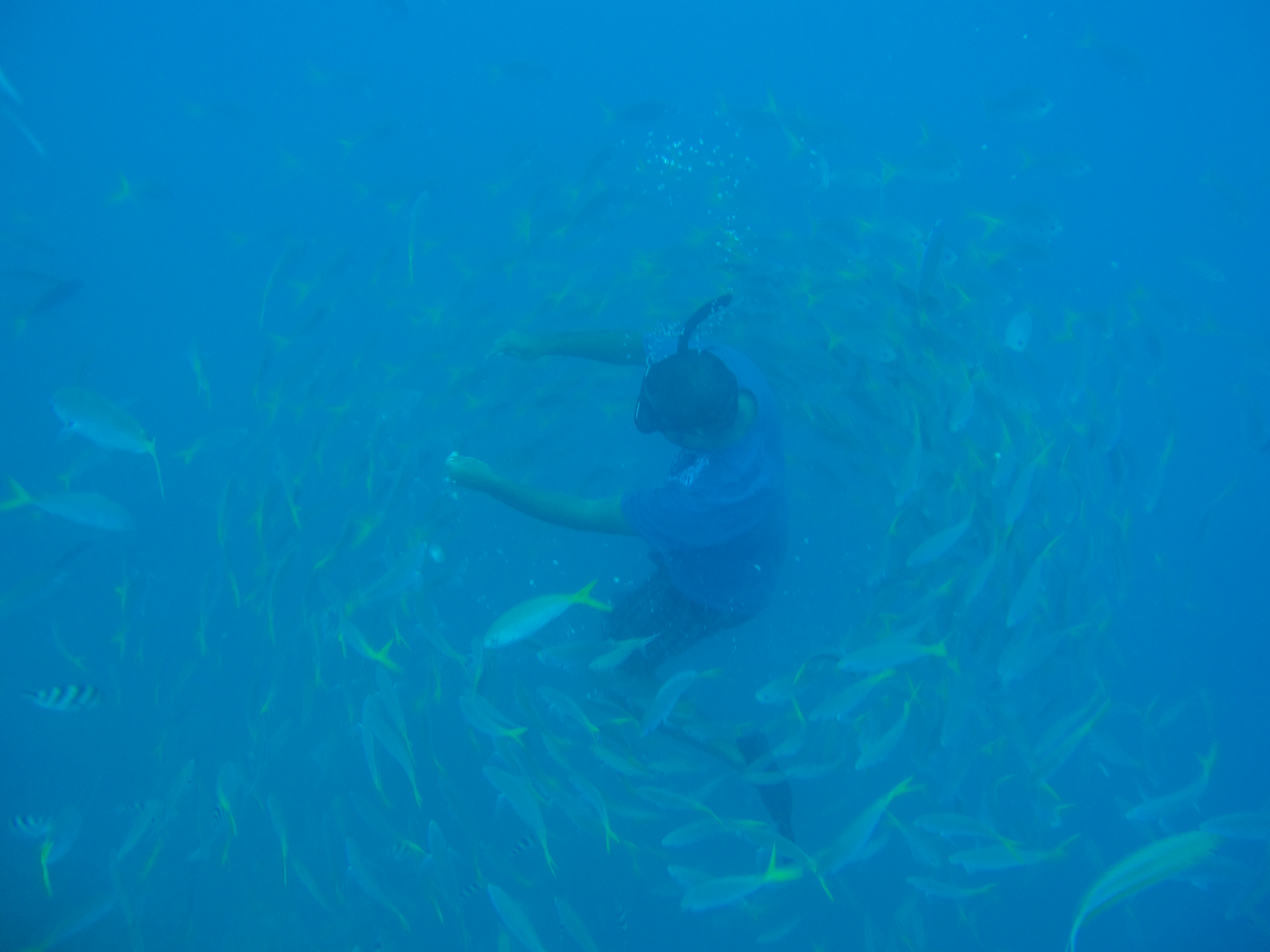 孤悬在太平洋上的岛国，帕劳，人生最值得一去的旅游目的地之一