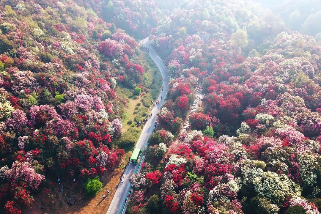 1年有150天住酒店,44次旅行,47次飞行!这江南女子怎么做到的?