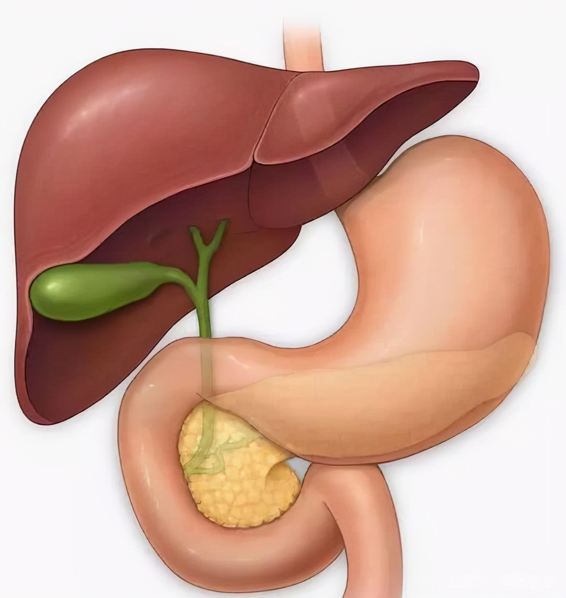 腋窝出汗染黄衣服怎么回事,腋窝爱出汗老是湿衣服