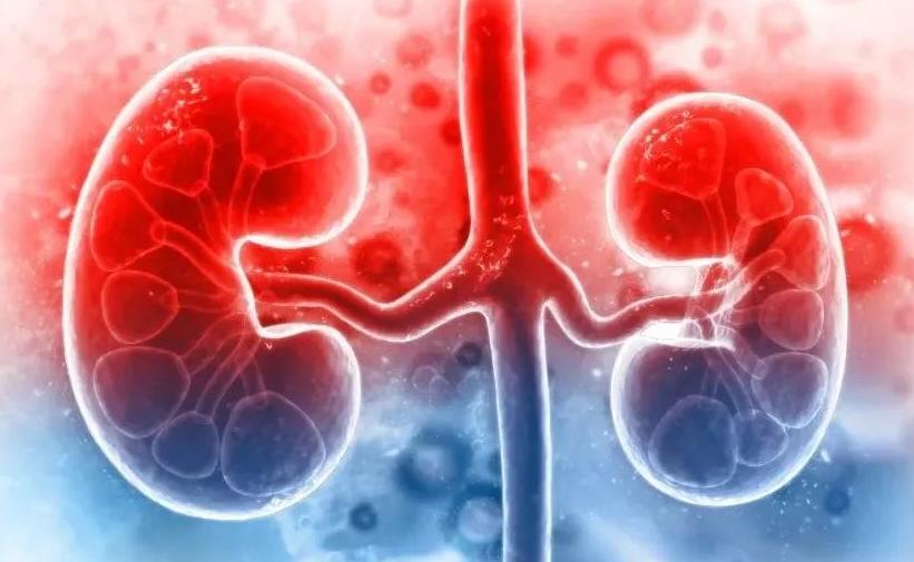 尿蛋白偏低如何治疗,肾炎尿蛋白降不下怎么办