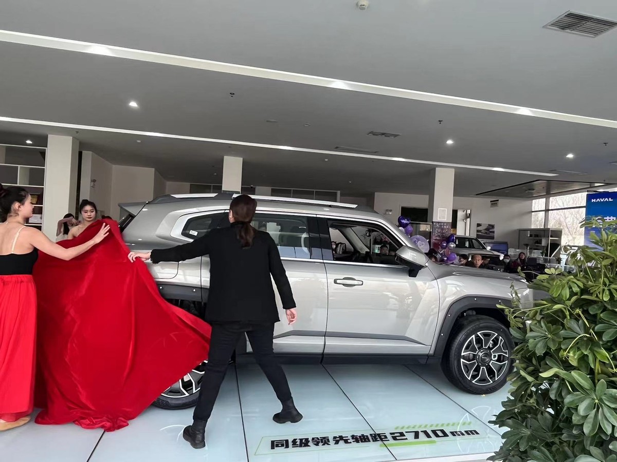 可城可野可电哈弗二代大狗天津铭信上市会