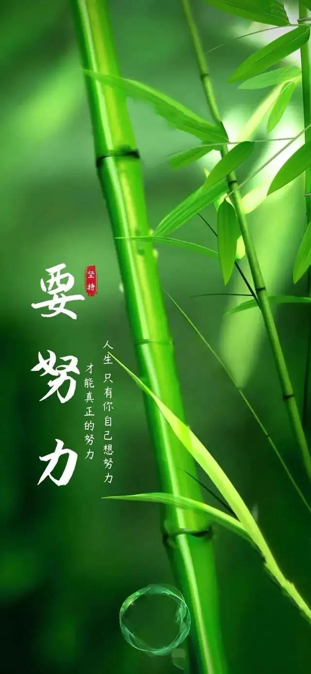 护眼壁纸动态壁纸高清全屏90帧,华为绿色养眼护眼壁纸