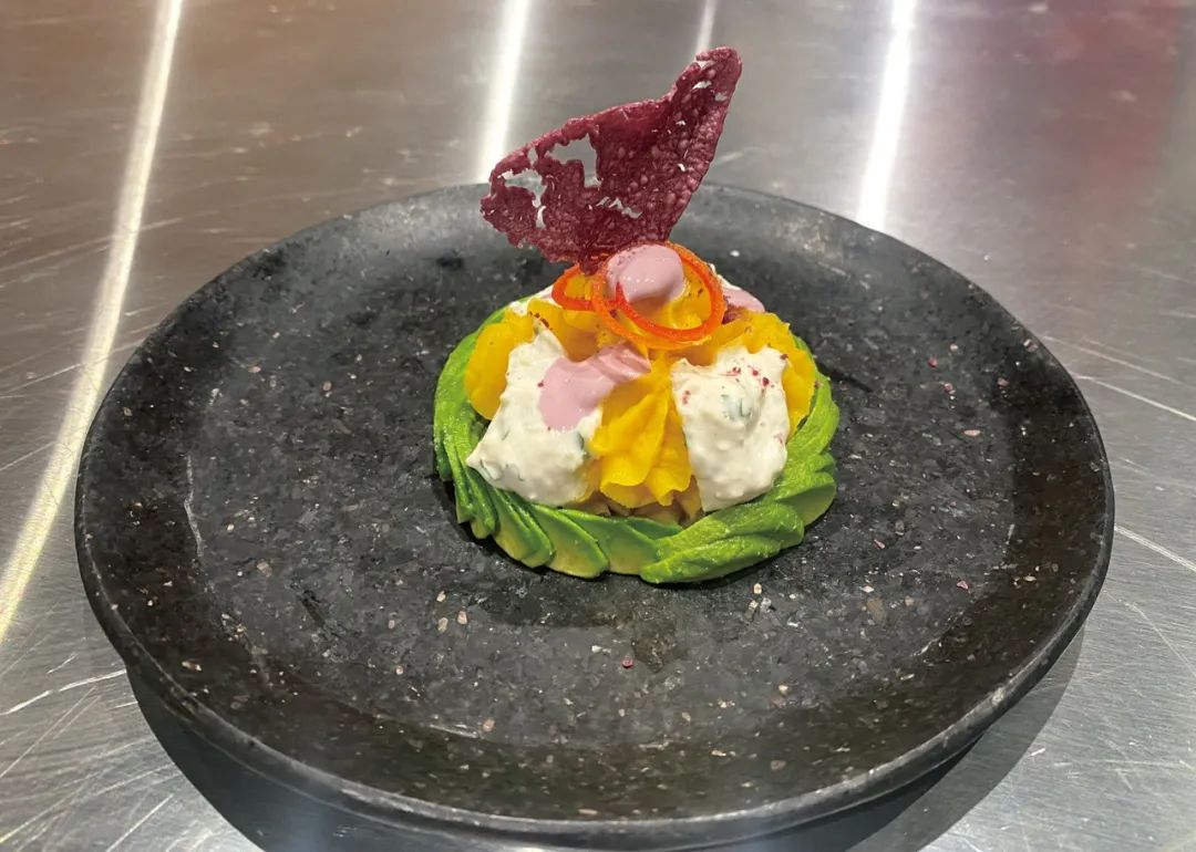 迪拜世博会中国馆复兴号,迪拜世博会彩绘飞机