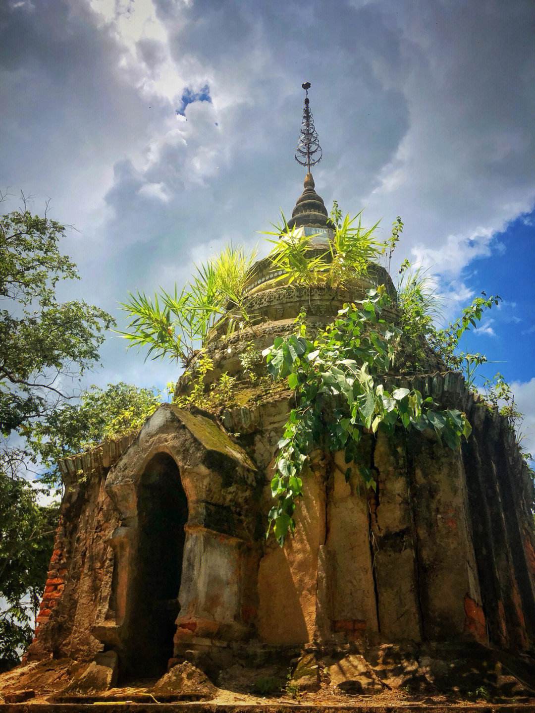 西双版纳望天树景区与热带植物园,西双版纳值得去的四个旅游景点