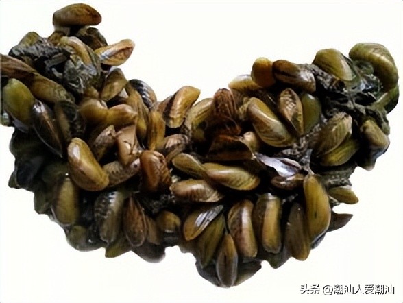 潮汕海鲜薄壳肉,潮汕各式海鲜海鲨