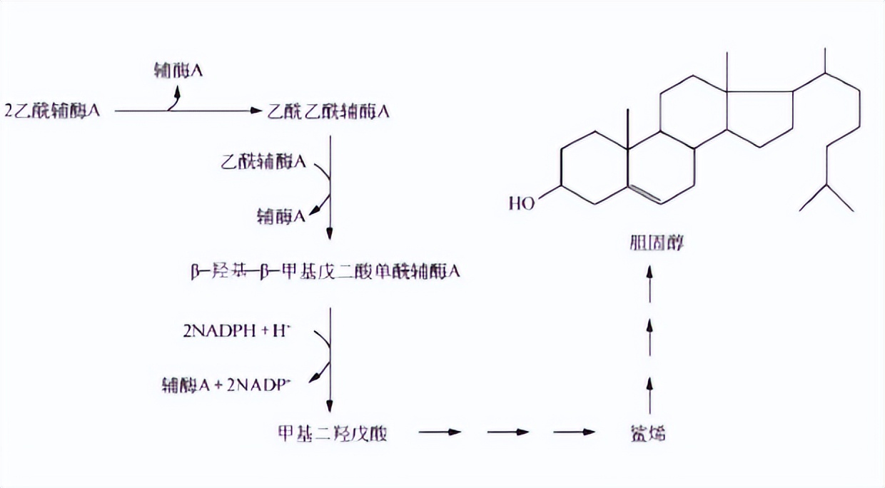 其他植物的类固醇合成难道不需要薯蓣作为参考吗？