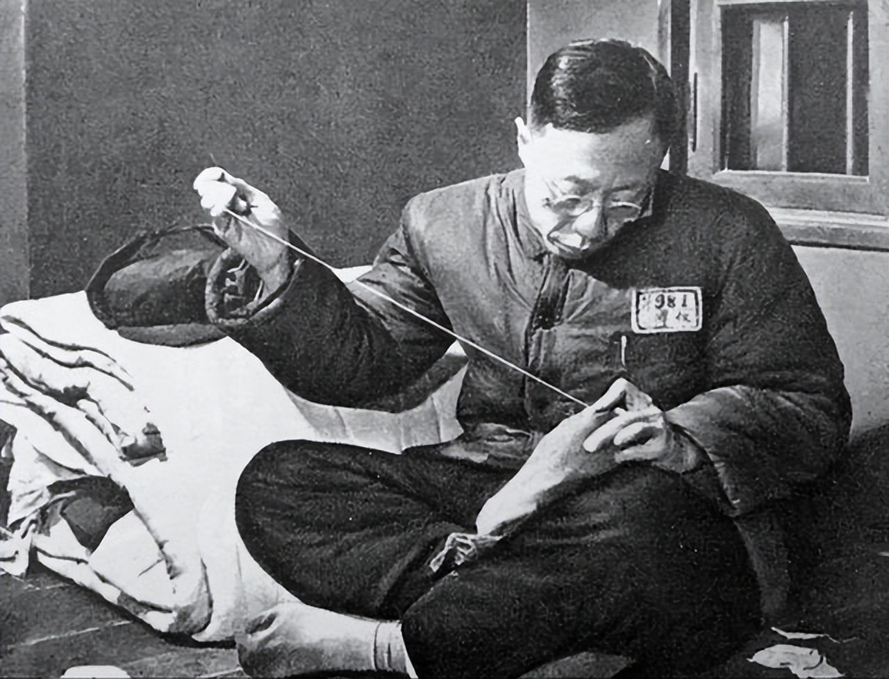 李玉琴找溥仪复婚,李玉琴去民政局和溥仪离婚电视剧