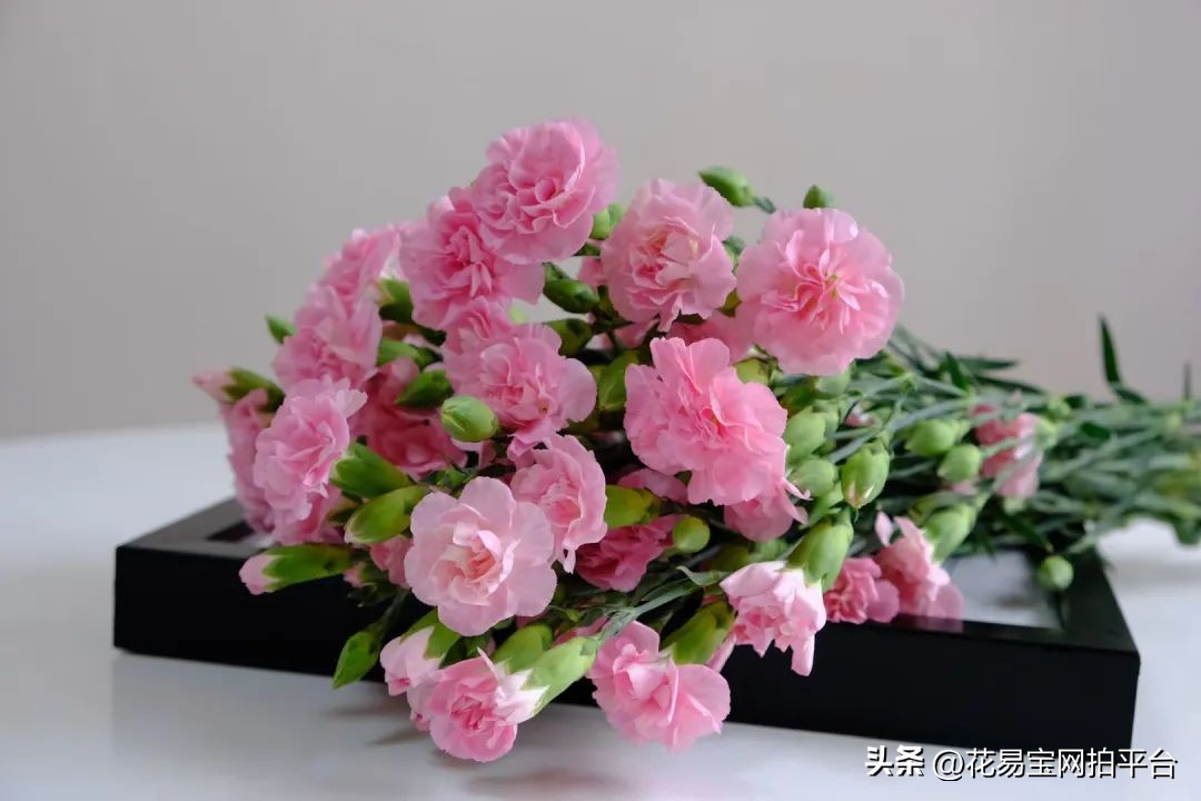 女神节快到了，哪些花材值得备货？内含优质卖家推荐！