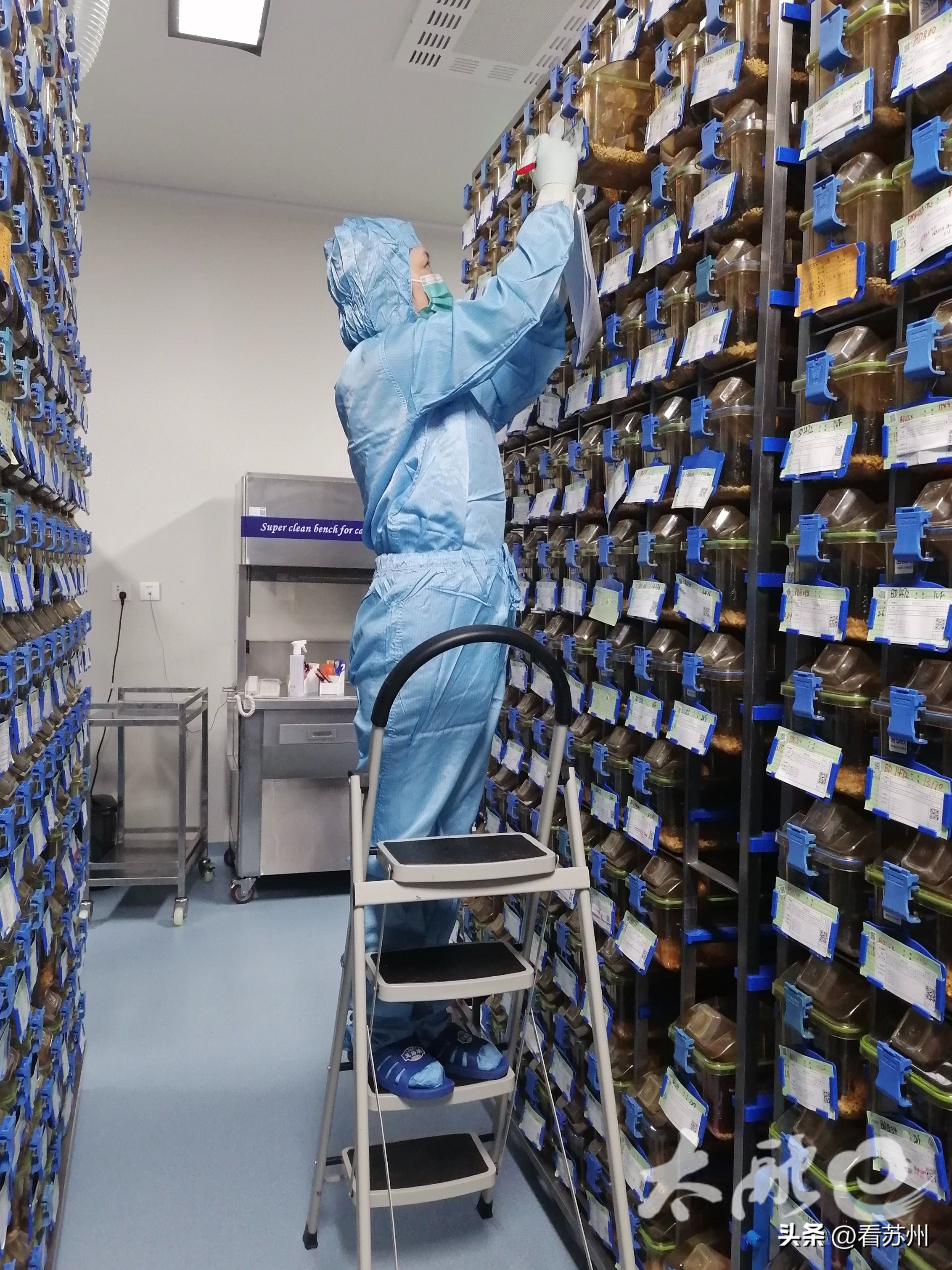 澶粨璧涗笟鐢熺墿绉戞妧鏈夐檺鍏徃,澶粨璧涗笟鐢熺墿绉戞妧鏈夐檺鍏徃鎷涜仒