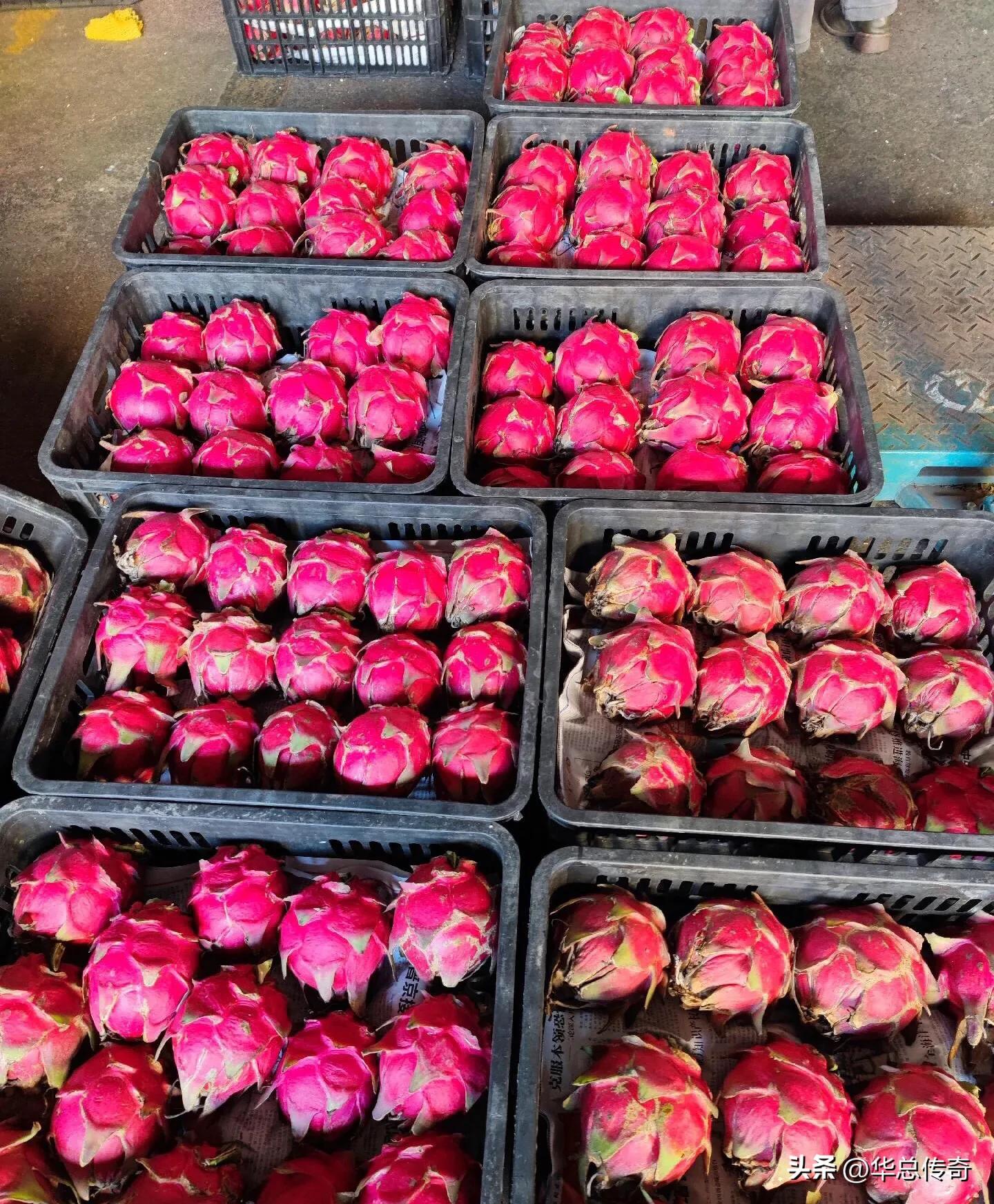 海南的蔬菜水果为什么贵,海南省哪个市的水果最便宜