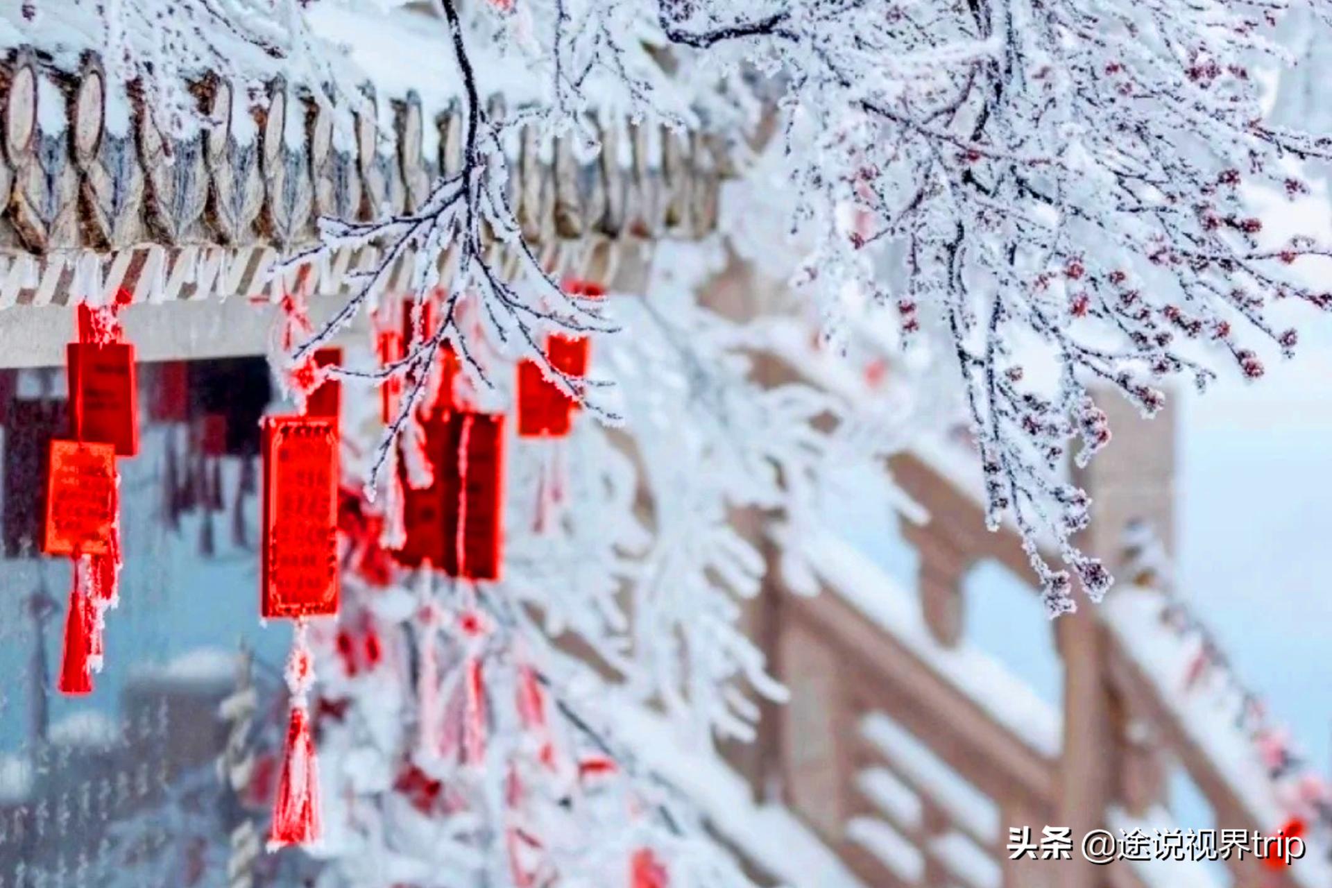 冰封奇景绝美的雪山，老君山一场雪惊艳了整个华夏，仿佛误入天宫