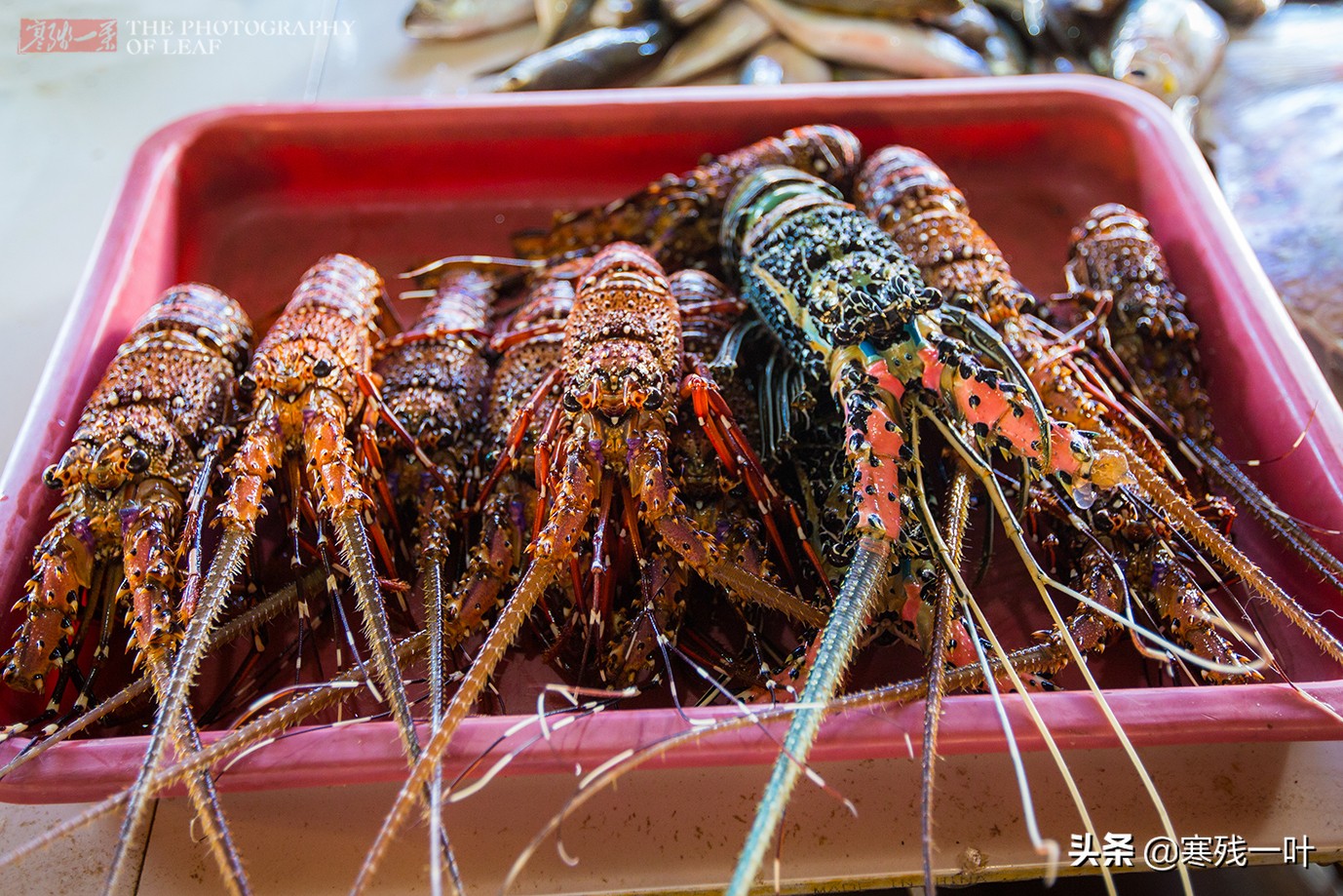 东南亚旅游物价低的地方,东南亚深山里物价