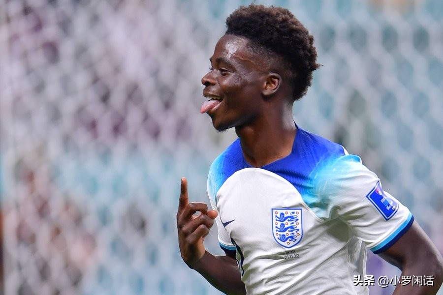 世界杯32支球队全家福,世界杯集锦24