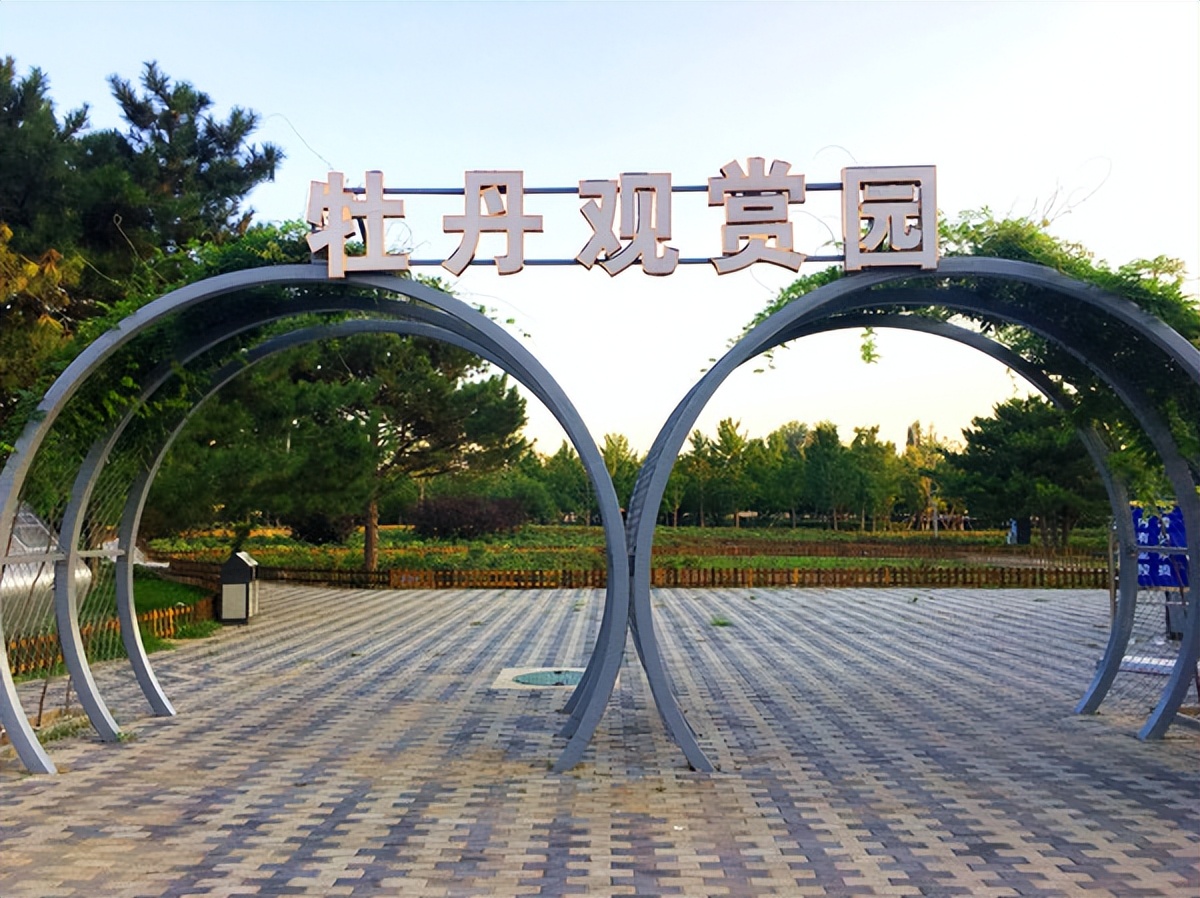 去奥林匹克公园能看到水立方吗,从奥林匹克塔看奥林匹克公园