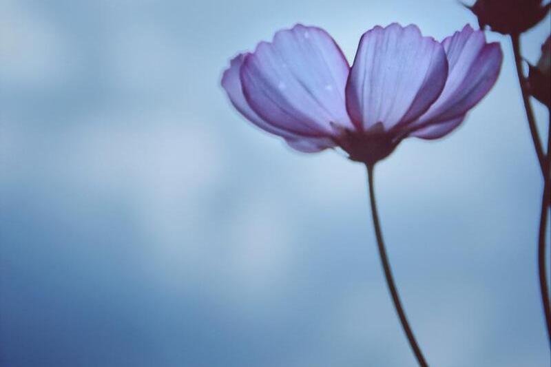 姐姐要和欺凌我的人结婚，母亲的做法令她悔恨终身，后来活成笑话