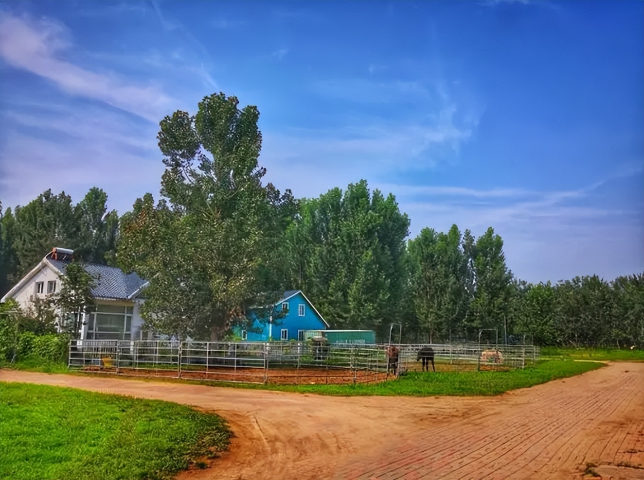 天津周边可生火的露营地,私藏天津小众露营地