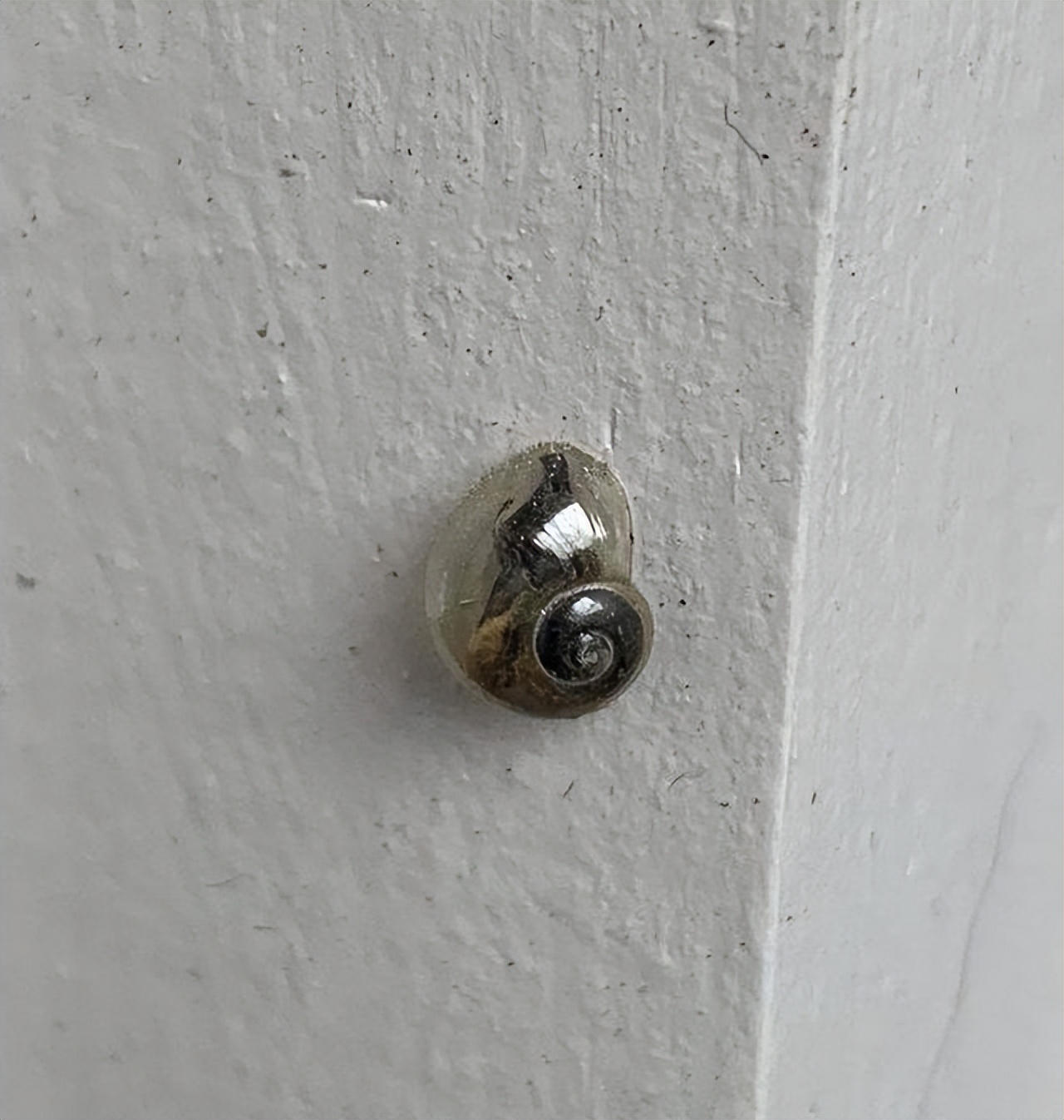 美丽的大自然,37张照片