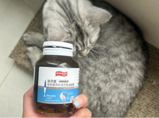 狗狗毛发粗糙用什么洗护,狗狗的毛发不顺最简单的方法