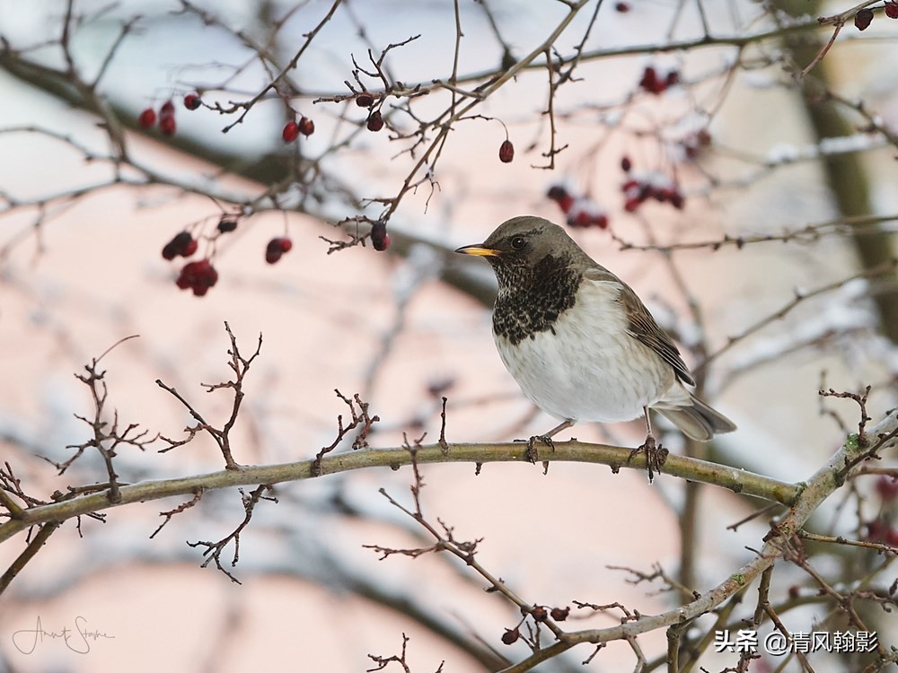 尼康d850拍照有多强,摄影器材篇尼康d850