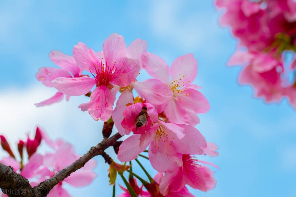 苏轼浣溪沙人间有味是清欢拼音版,苏轼人间有味是清欢表达的是什么