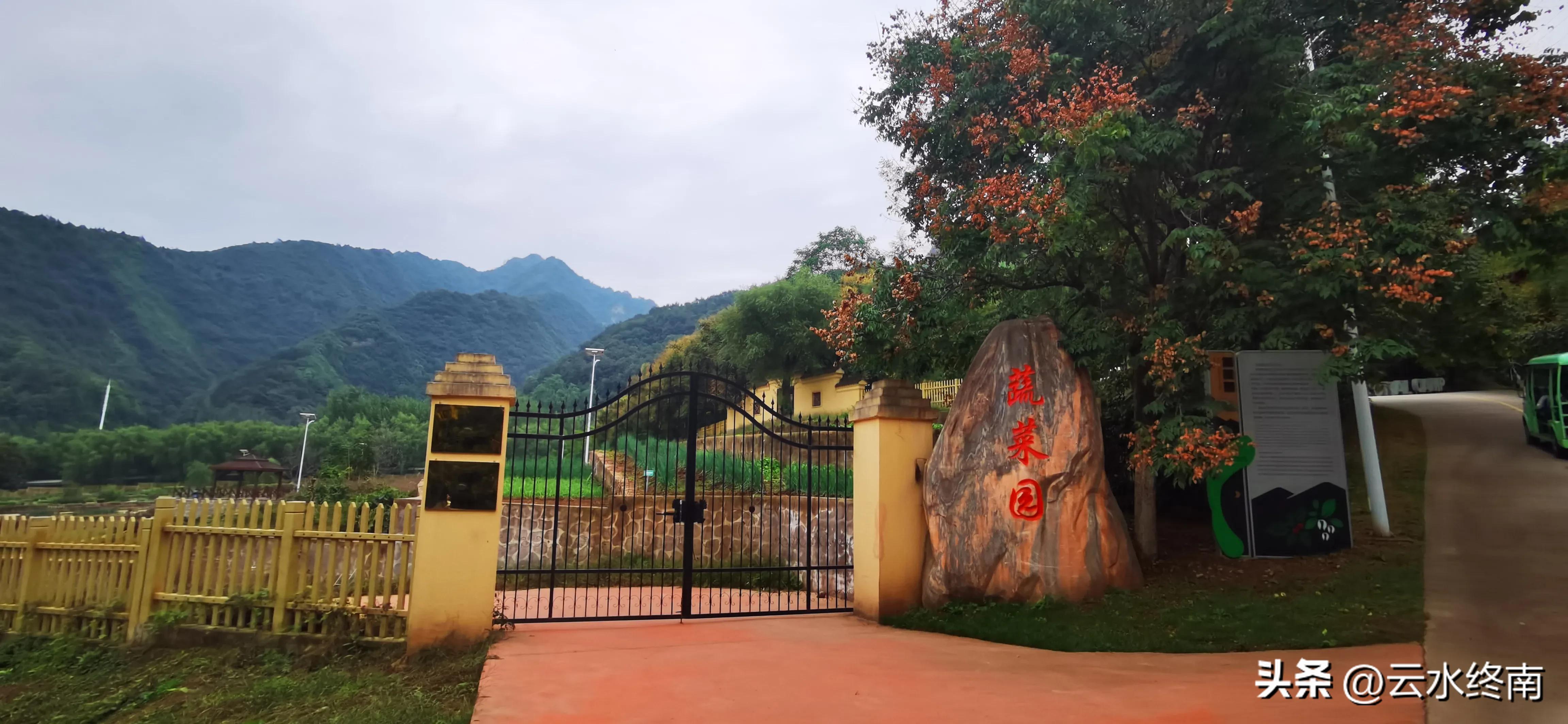 世界上最大室内植物园在哪,去世界上最大的动物园