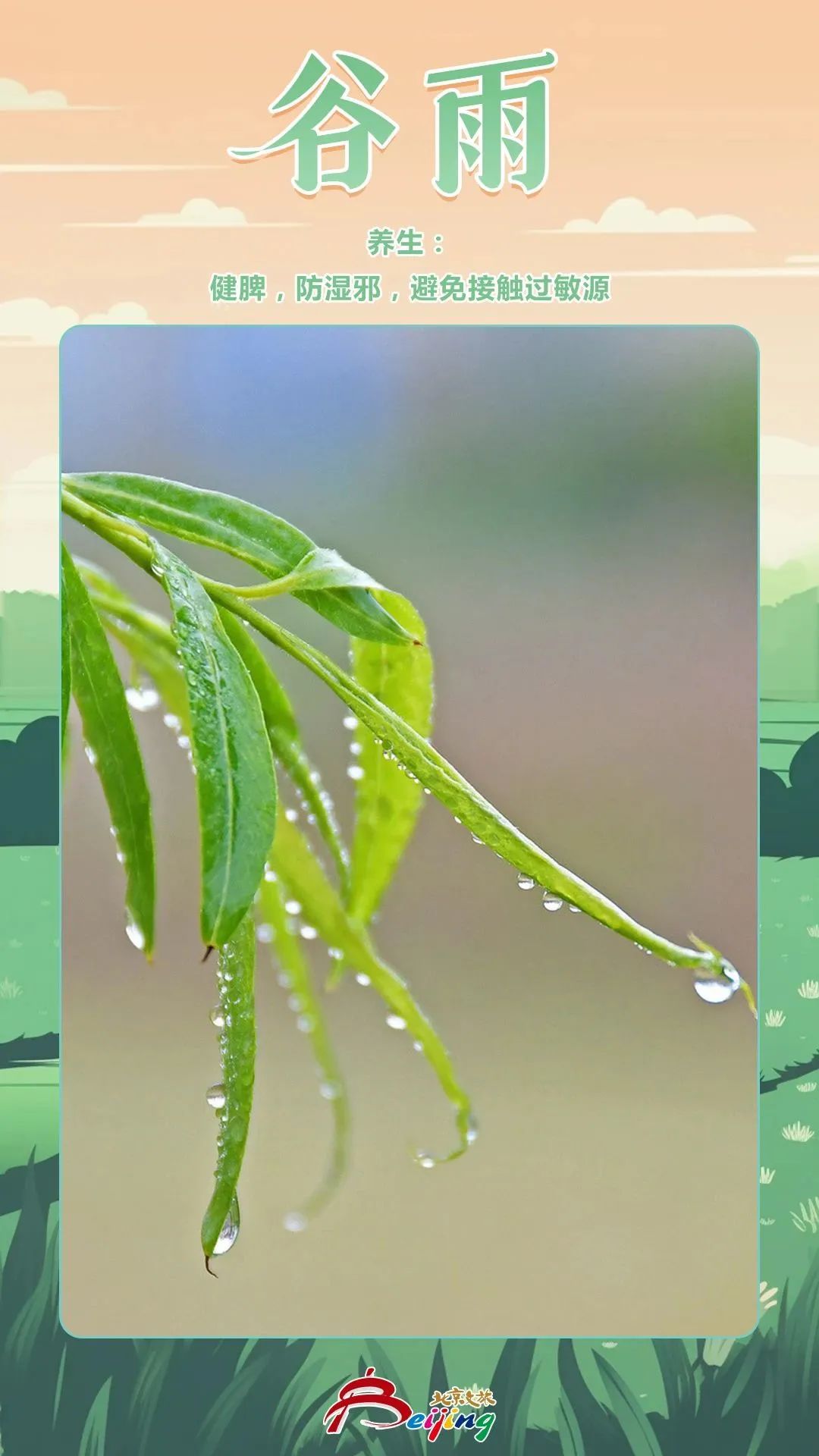 谷雨的到来意味着暮春已至,暮春初夏到谷雨