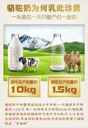 纯骆驼奶粉与高脂骆驼奶粉的区别,牦牛奶粉与骆驼奶粉哪种最好