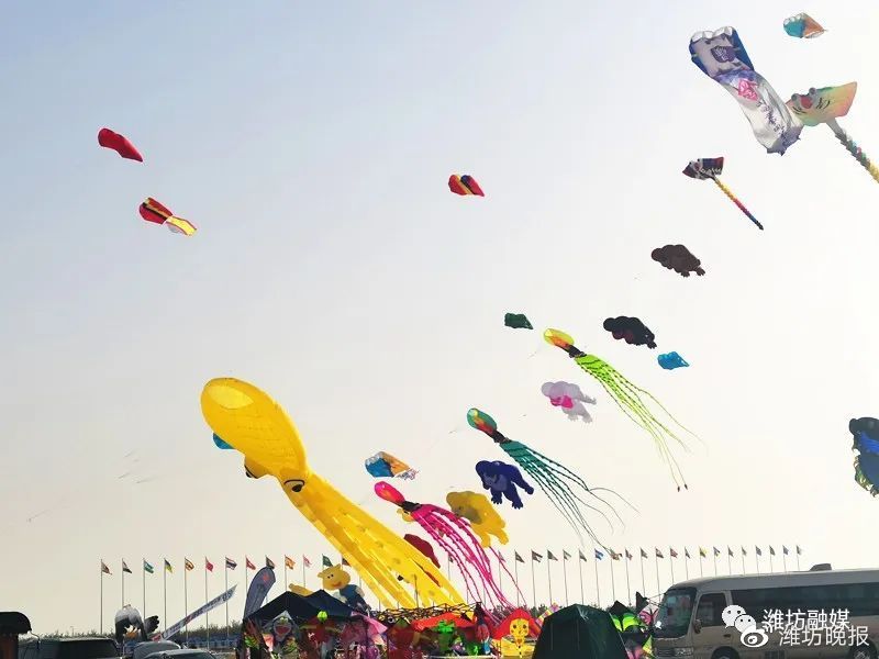 潍坊风筝会大咖云集开幕,潍坊风筝会开幕晚会