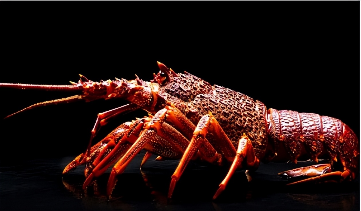 海鲜顶级食材,全球十大最贵海鲜