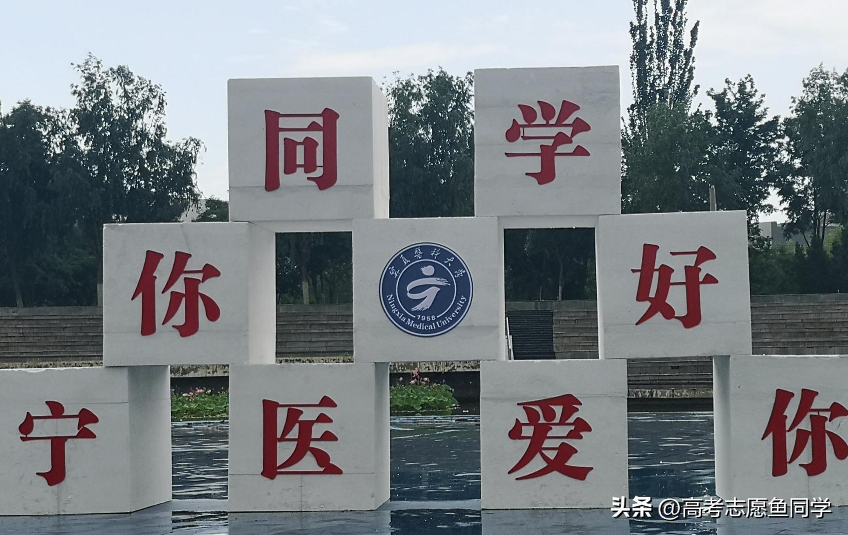 想学医中药的有什么大专院校,学临床医学哪些985大学可以推荐