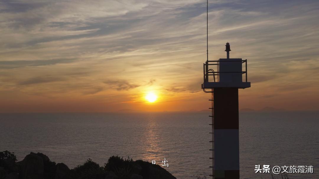 东海1号海钓,东海1号