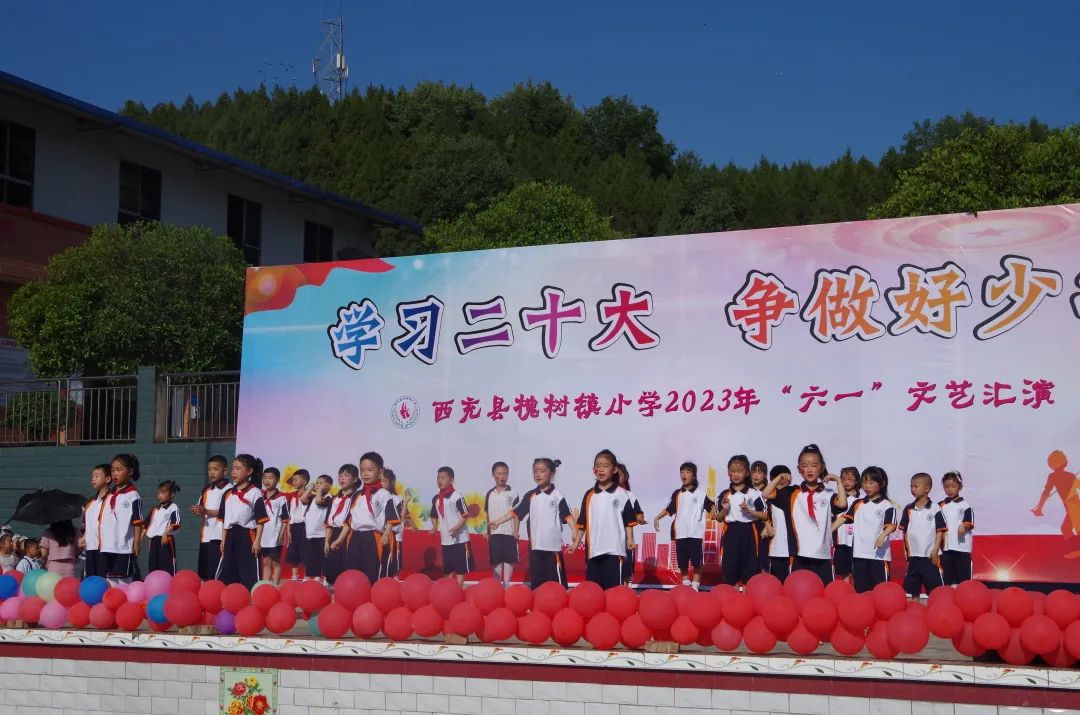 西充县槐树镇小学：学习二十大，争做好少年