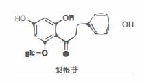 含黄酮类成分的药材有,陈皮的黄酮类成分作用