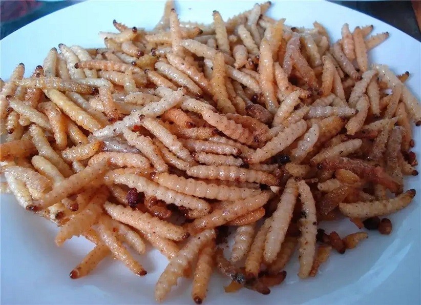 天津四大怪菜,天津经典十大名菜