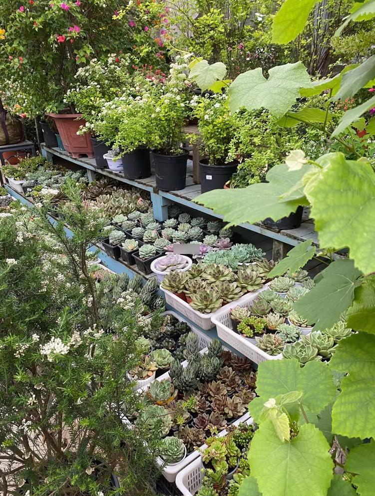 深圳有几个大批发市场,深圳日用百货大批发市场