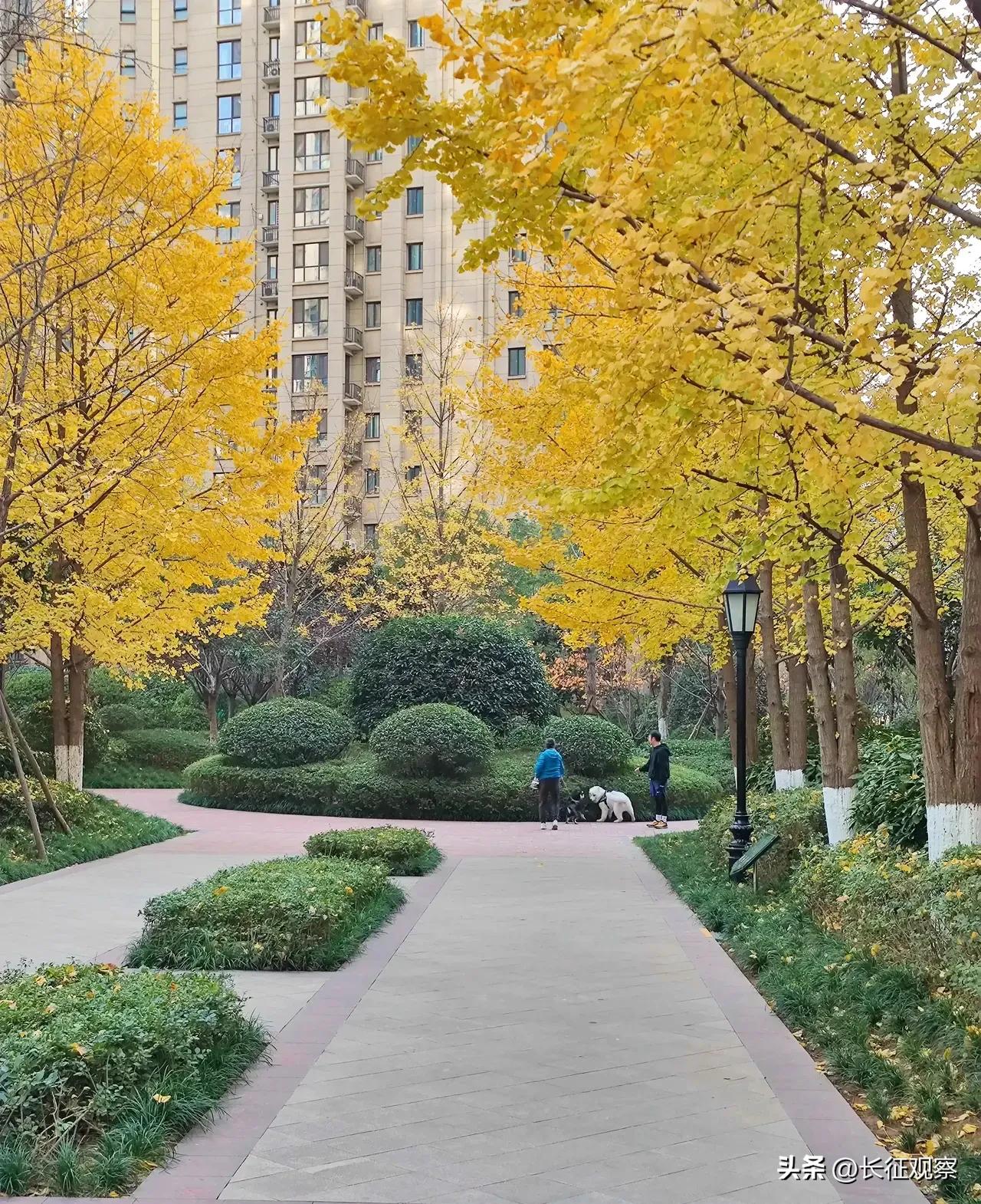 西安“四区联动”效果初现，刘国中强调继续加大措施力度