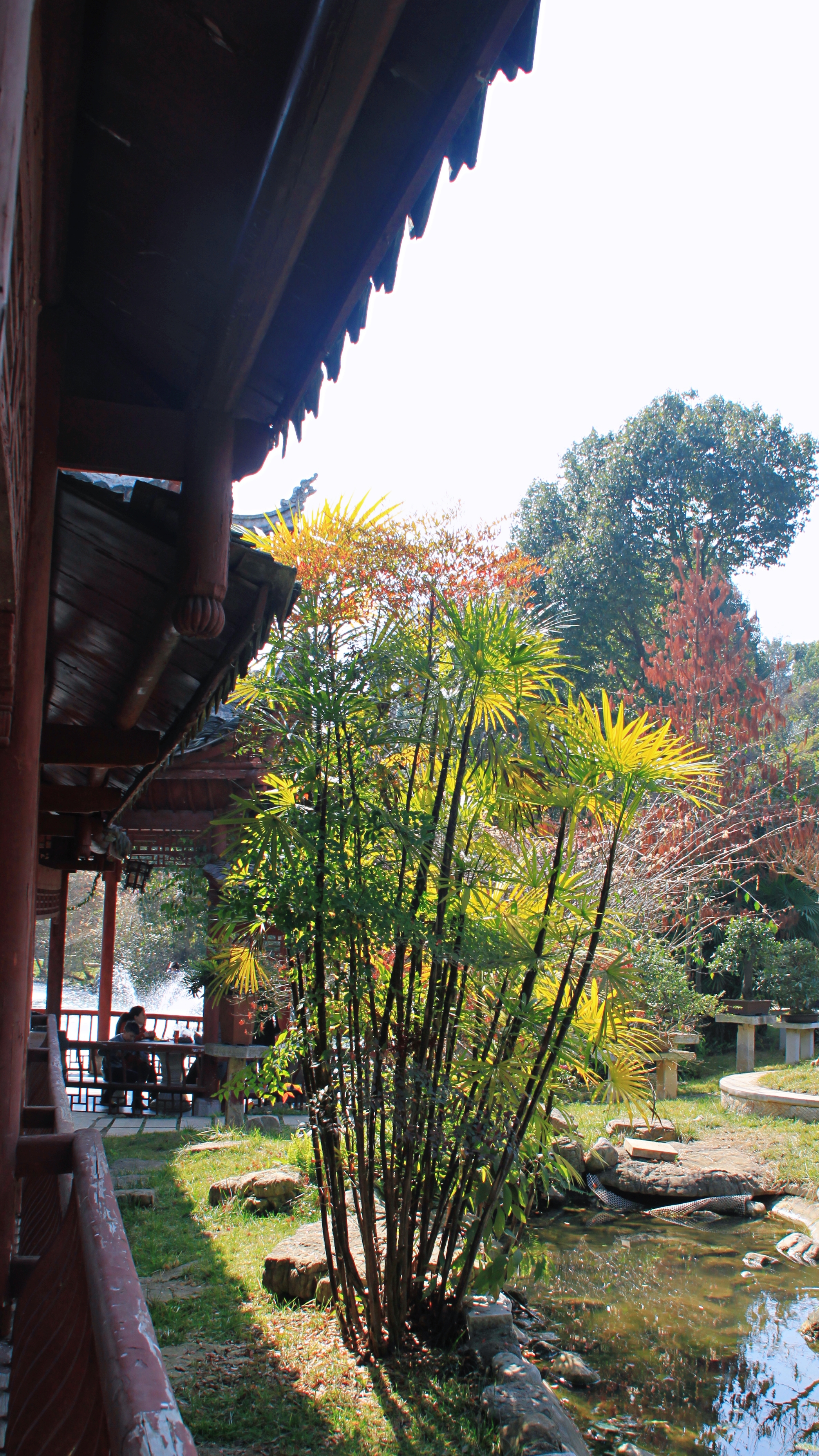 多彩贵州醉美黄果树,多彩贵州风演出黄果树