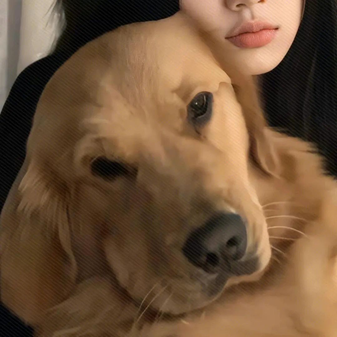 好看的情侣头像单个,好看的情侣头像大全超清