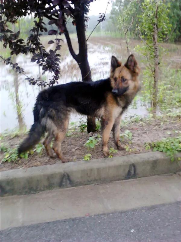 世上只有妈妈好爸爸也不错,世上只有妈妈好爸爸不好吗