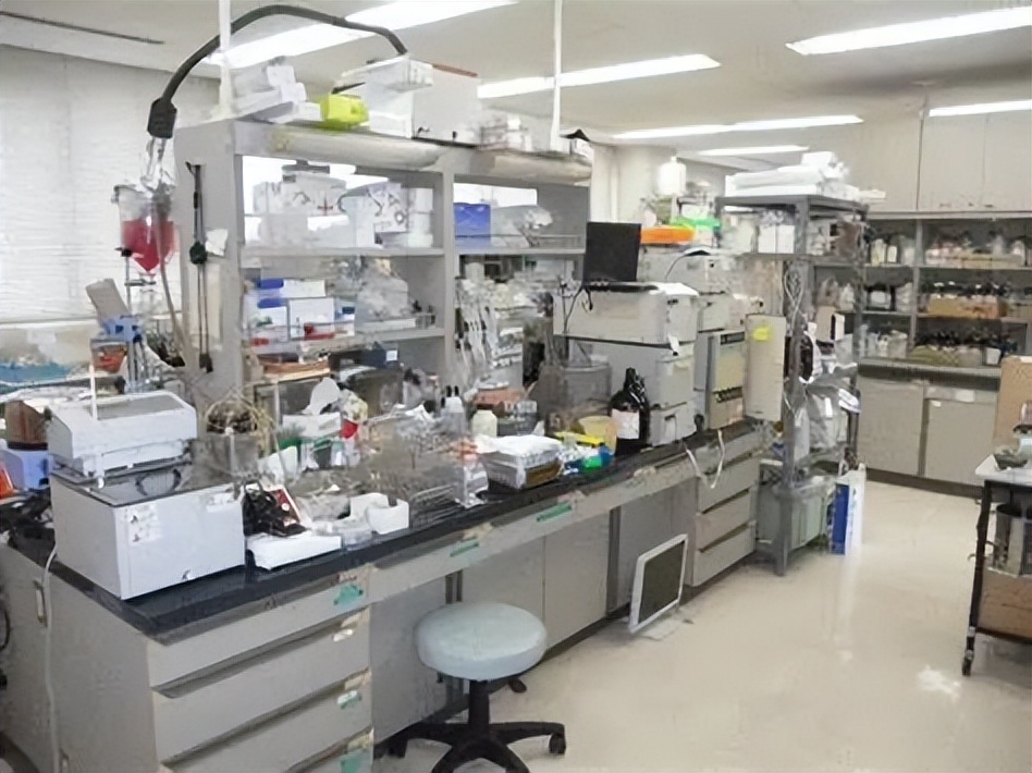 harvardcollege和哈佛大学,哈佛大学具体地址